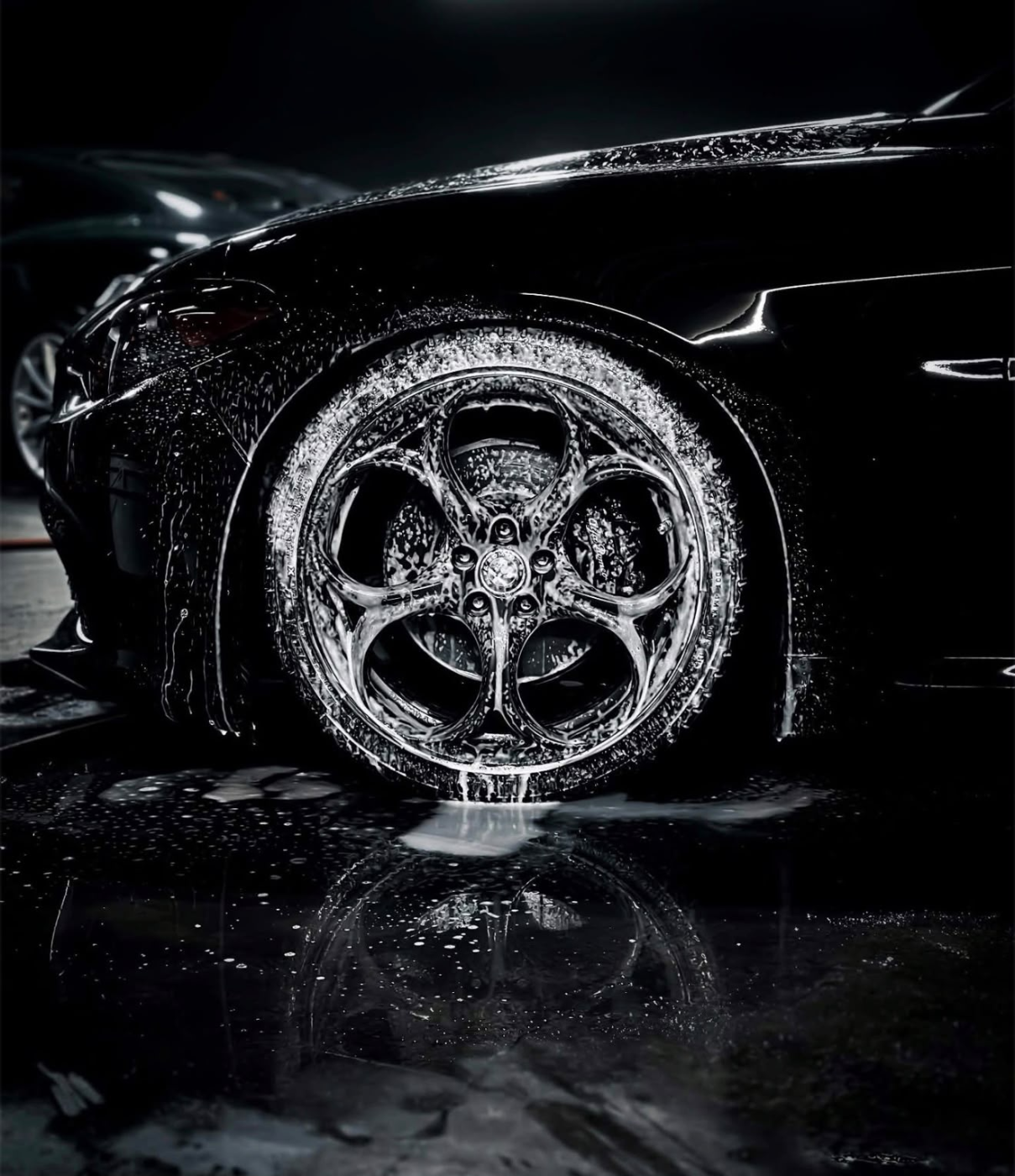 Ceramic Coating Application