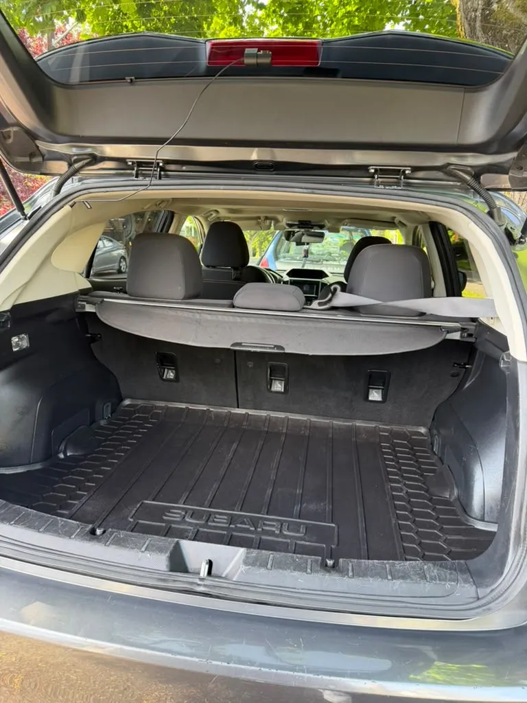 Premium detailing products in use